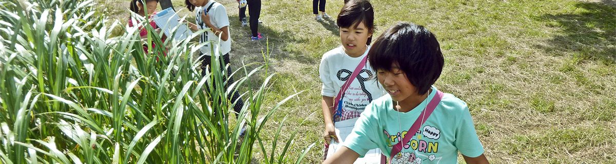 ウォークラリー｜国立曽爾青少年自然の家